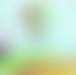 על תקווה ואומנות