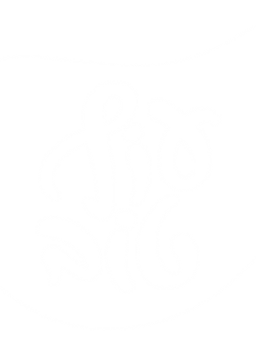 לוגו עוף טוב