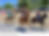 Screenshot 2024-08-25 at 8.14.27 PM