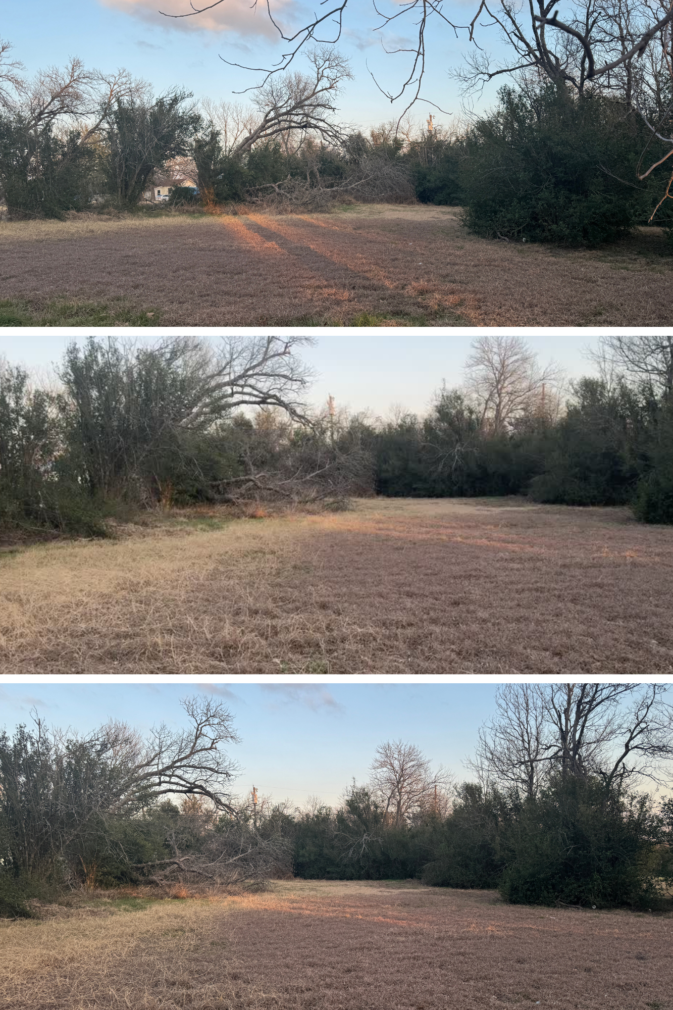 ITC Farm and Garden photo 3
