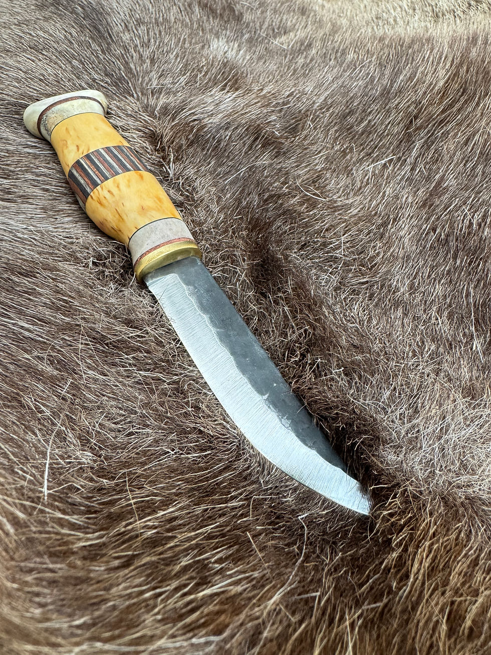 Miniaturbild: Kauko sebra -23KRZ-