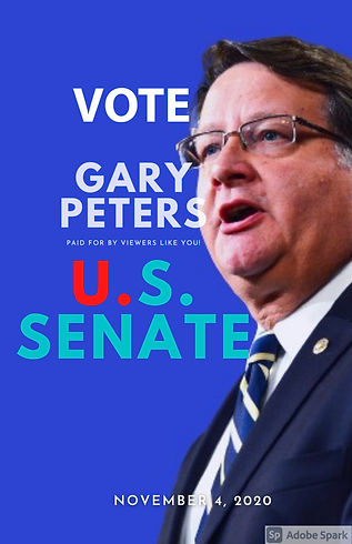 Gary peters instagram ad.jpg