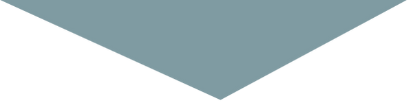 triangulolionsceller.png