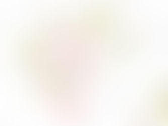 Diverse wegwerkzaamheden