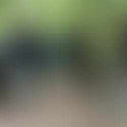 Dodenherdenking 4 mei 2026