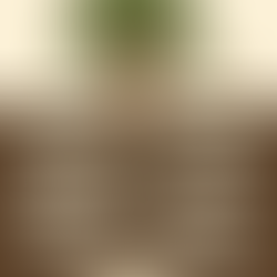 Terugblik avond dorpsvisie 26 november en vervolg