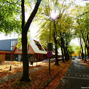 Geen Armoede in Austerlitz! GAiA