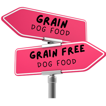 Research reveals that a grain free diet could be connected to Canine Heart Disease. 