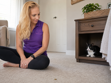 Pink Paws & Purrs sitter sitting calmly on the floor, giving a shy tuxedo cat space to watch from her hiding spot"