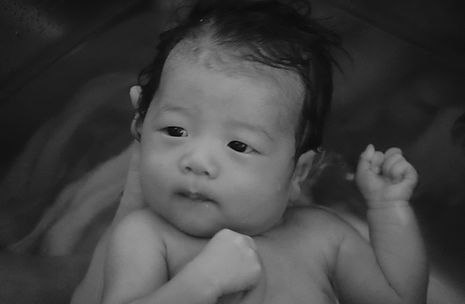 赤ちゃんの写真
