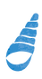 貝殻のイラスト