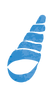 貝殻のイラスト