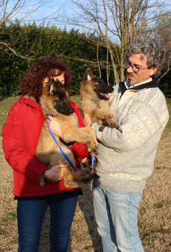 Ares (Athena) 30/12/2018