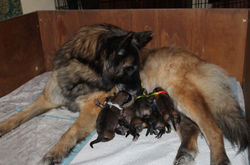 Il giorno della nascita