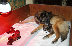 Il giorno della nascita