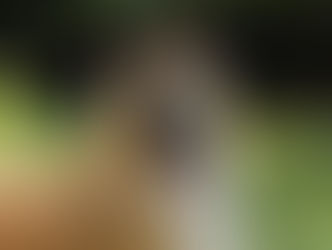 Nuove foto di "Erin"!