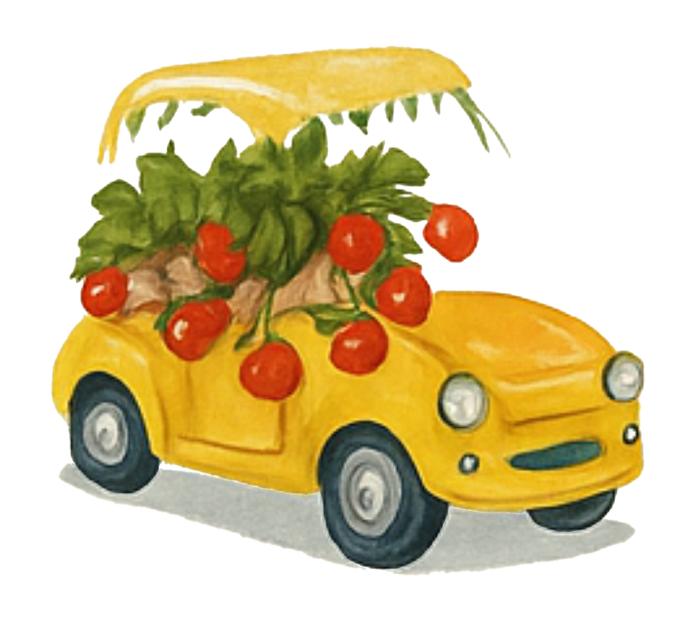 carro2.png