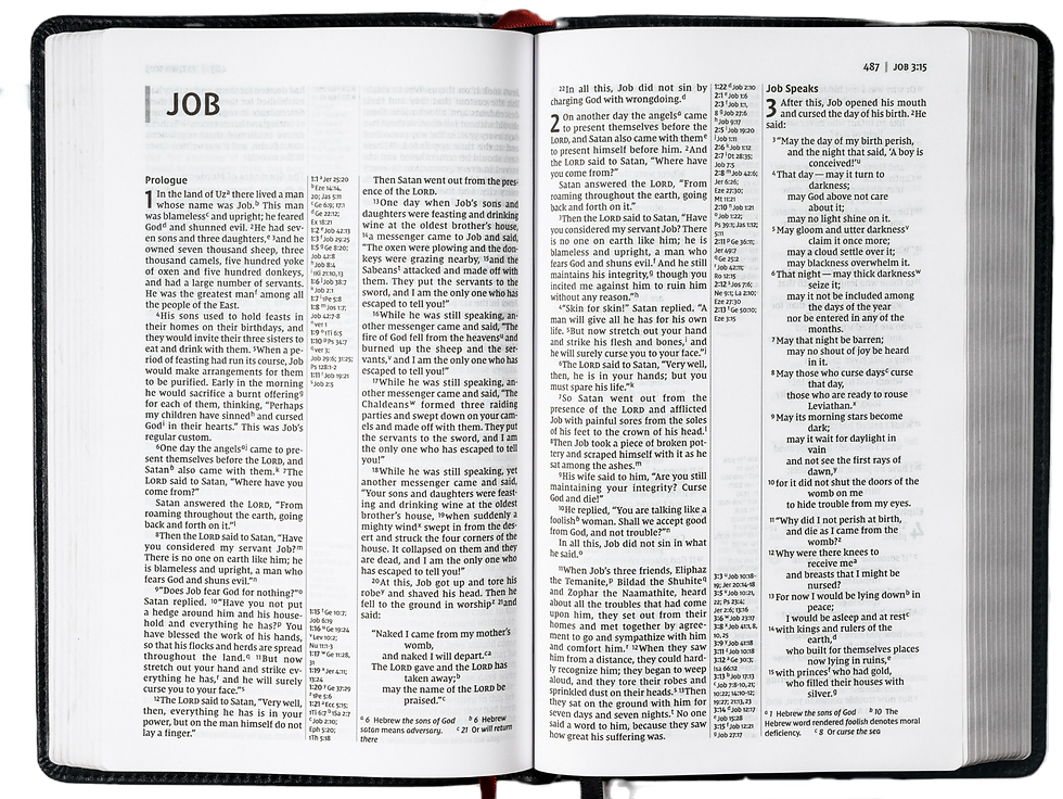 The book of Job in the Bible
