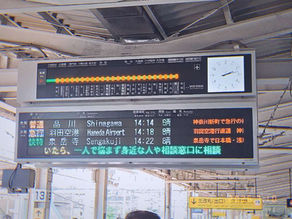 佐賀調査、再び