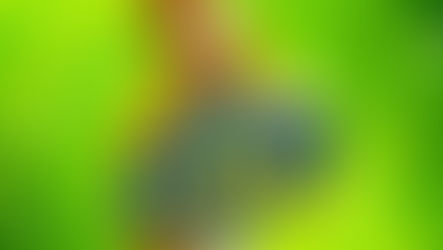 Nowy polski Cyrk Trapez