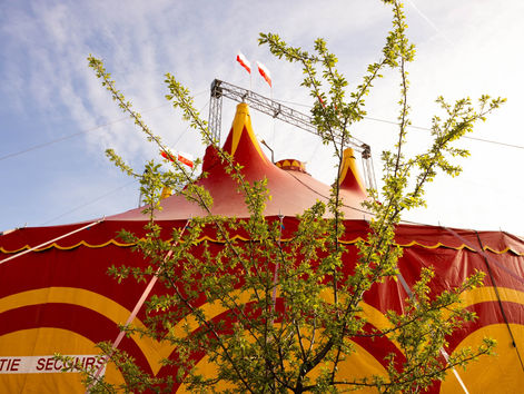 Nowy zwiastun Cyrku Wictoria