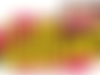 Nowy polski Cyrk Tornado wyrusza w pierwszą trasę