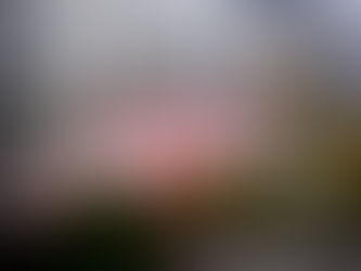 Cyrk Korona rozpoczął sezon 2024