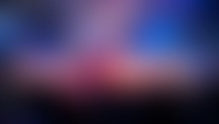 Polacy na Festiwalu w Massy!