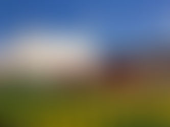 Seria niefortunnych zdarzeń w dużych cyrkach