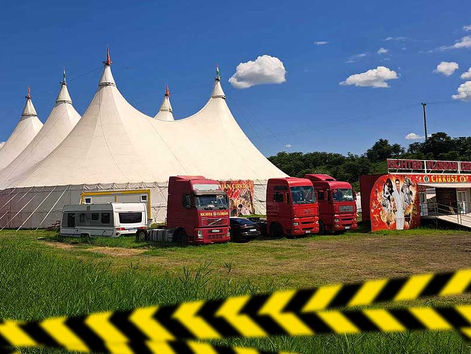 Seria niefortunnych zdarzeń w dużych cyrkach