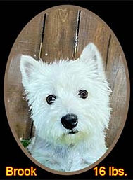 7-19-24 Brook Portrait Web.jpg