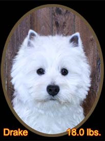 Drake Oval Portrait Web.jpg