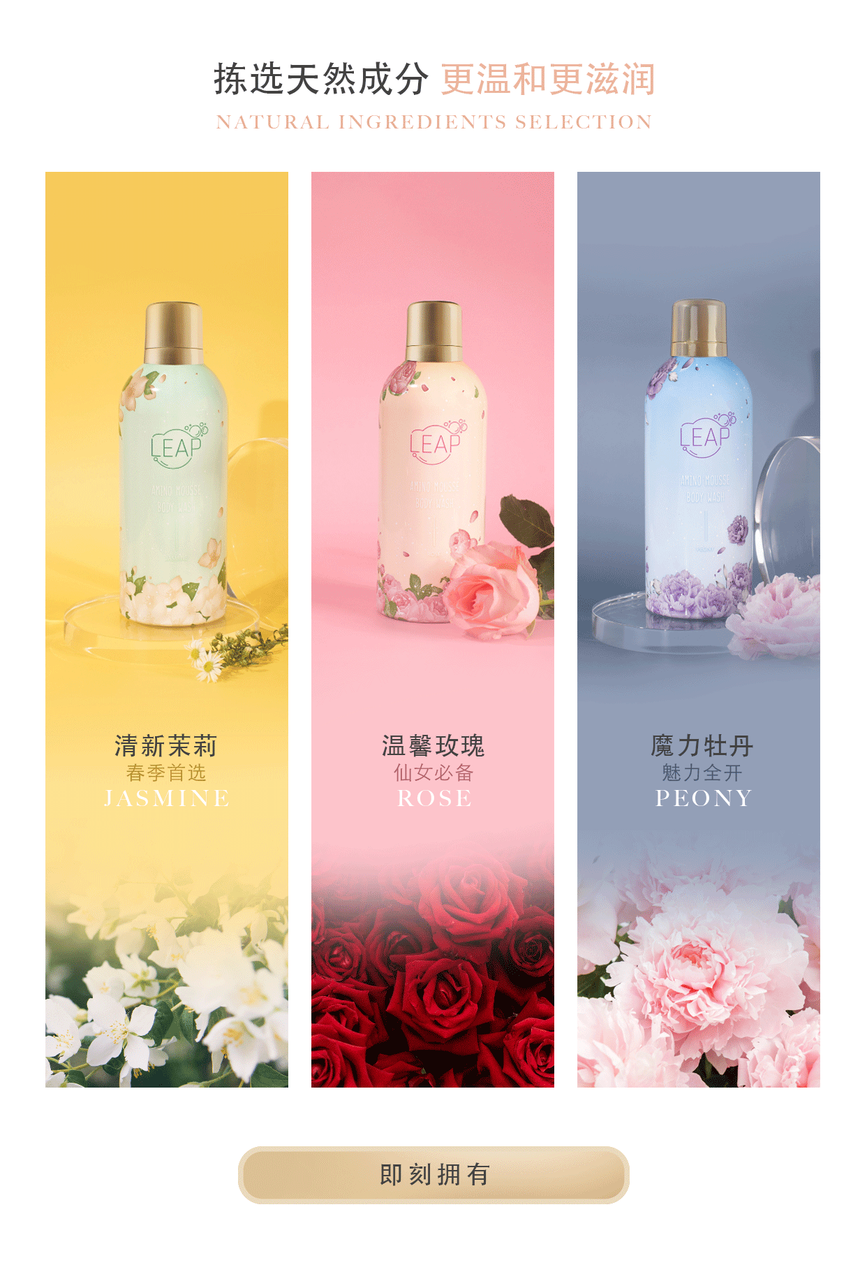 website_04.gif
