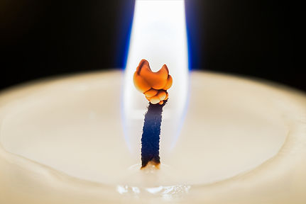 mushroom wick candle