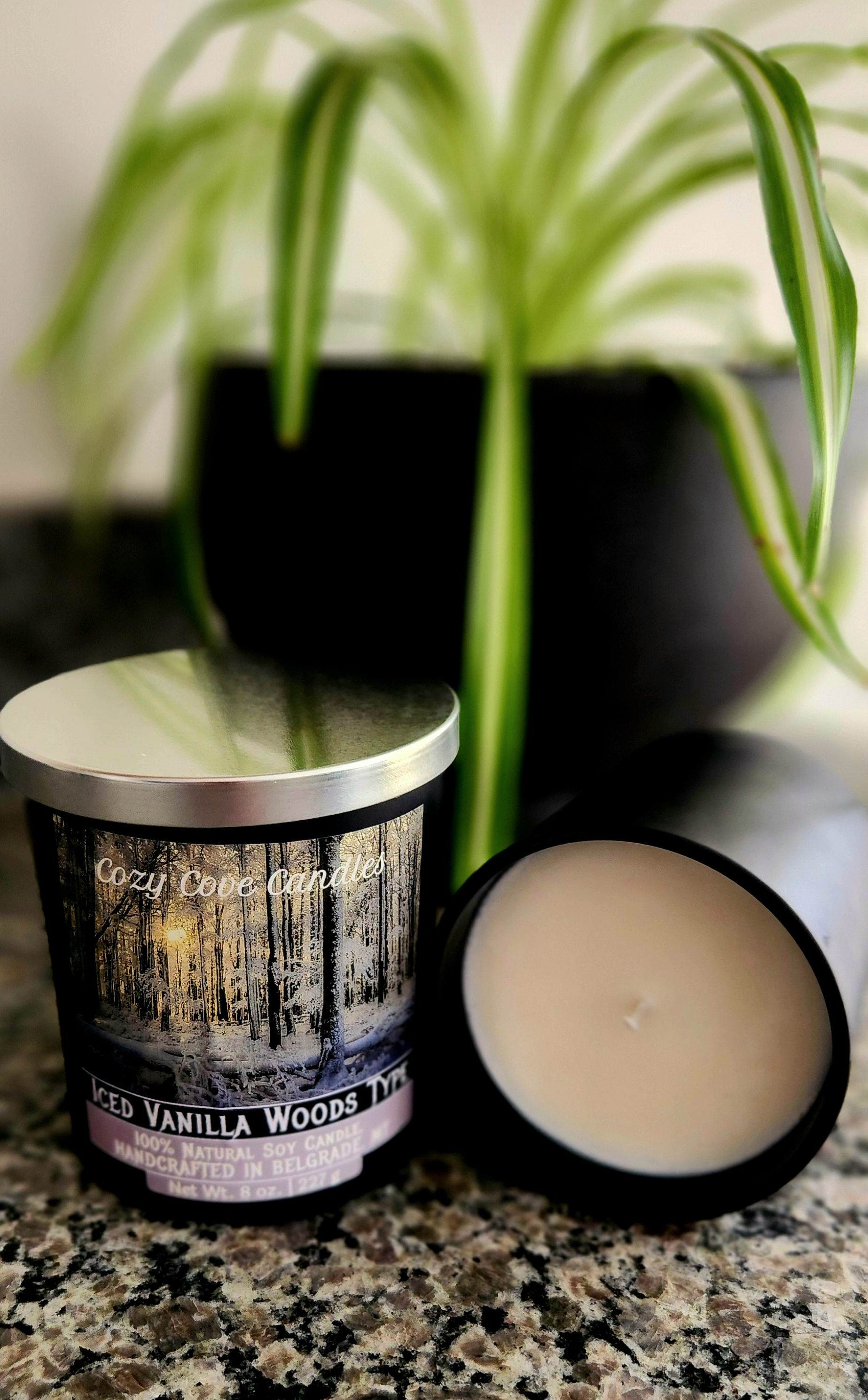 Iced Vanilla Woods (BBW Type) - 8 oz. Tumbler Jar Soy Candle