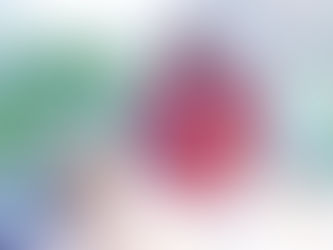 Tuto : Le pain aux graines