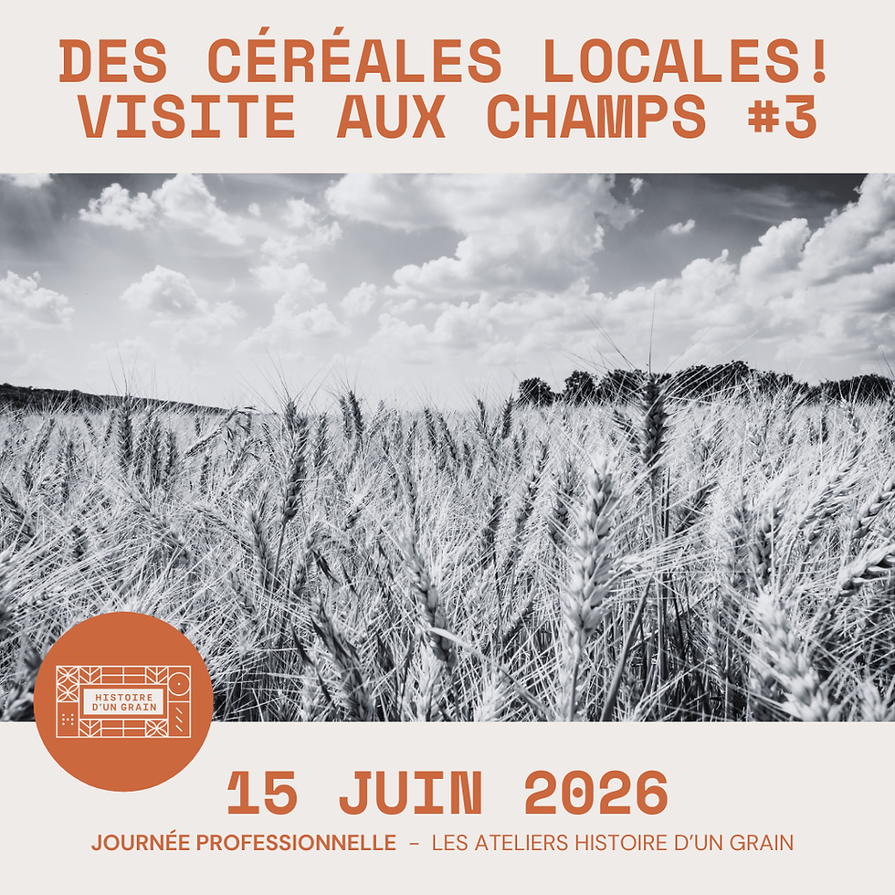 Les Ateliers Histoire d'un grain #3