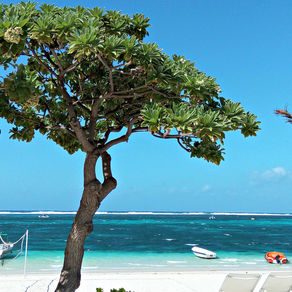 ✈ Ile Maurice