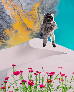 Untitled_Artwork 9.png