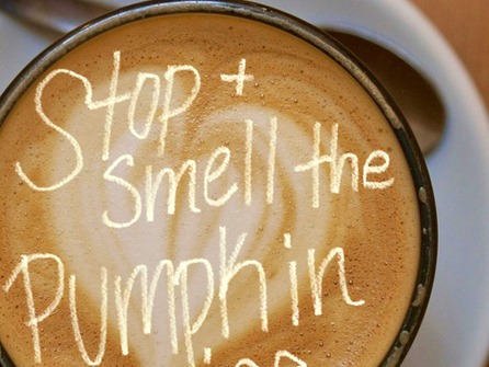 Stop and Smell the Pumpkin Spice: A Season of Pausing