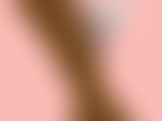 10 NATURAL BUG REPELLENTS