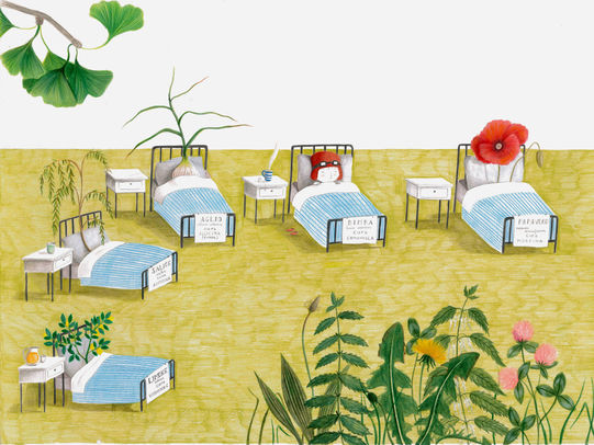 scientific illustration about active ingredients. diseased seedlings. diseased plants. plant hospital. sick poppy. garlic. lemon. weeping willow. sick little girl.