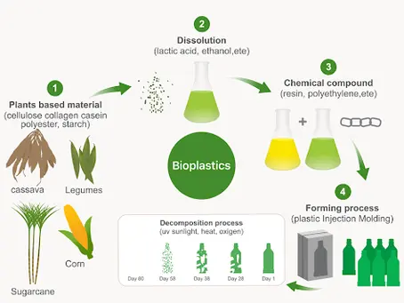 Key Trends in Recycling, Composting, and the Circular Economy: Part Two
