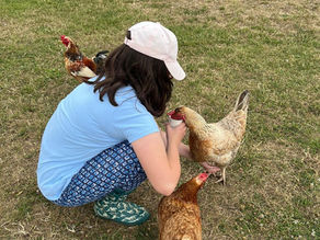 Stable & Wild Bursary Scheme - Parent Feedback