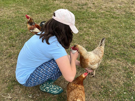 Stable & Wild Bursary Scheme - Parent Feedback