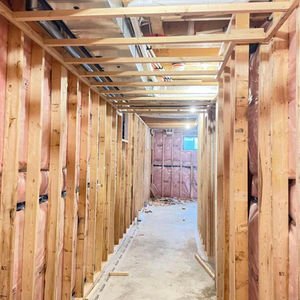 Basement Renovation Project