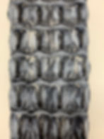 Antique Grey