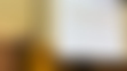 SNU서울병원 족부팀, 일본 JSSF 50주년서 연구 발표