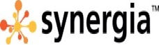 SYNERGIA.jpg