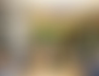 Actores en la Implementación de un Local Comercial Pequeño